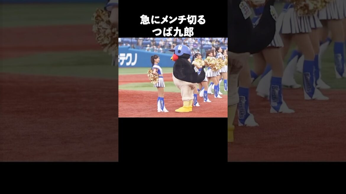 つば九郎の魅力が半端ない#野球#ヤクルト