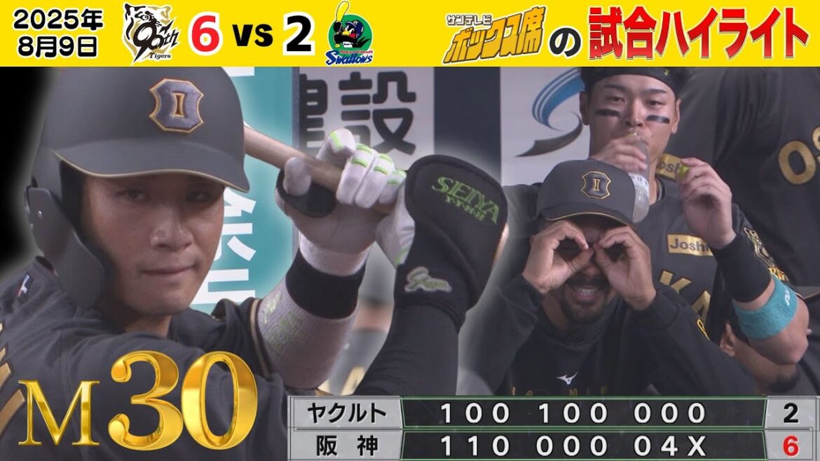 【8/9 阪神－ヤクルト 木浪＆近本が点を取り 石井が締める！】M30！連敗はしない！昨夜のうっ憤を晴らす鮮やかな勝利！（2025年8月9日 阪神ーヤクルト） #サンテレビボックス席