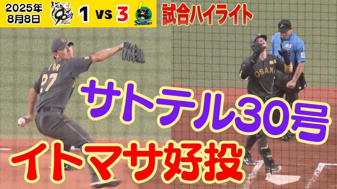 【8/8 阪神－ヤクルト 惜敗ハイライト】佐藤輝明30号も伊藤将完封直前に同点に追いつかれ・・・（2025年8月8日 阪神ーヤクルト） #サンテレビボックス席
