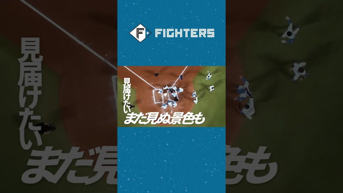 【SEASON SEAT2026】あなただけの特等席から【資料請求、受付中。】#ファイターズ #エスコンフィールドhokkaido #大航海は続く