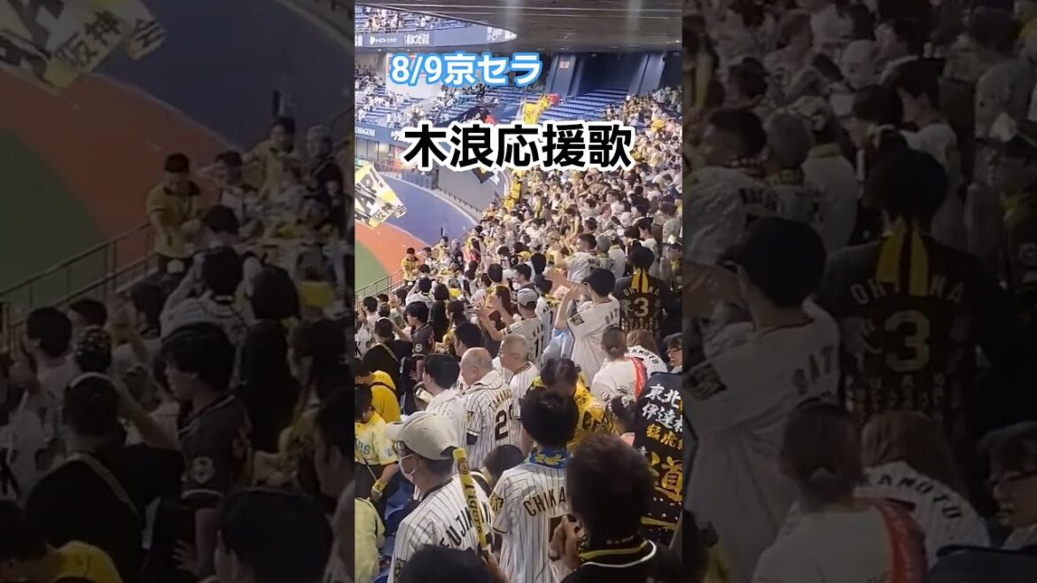 木浪応援歌！ #阪神タイガース #阪神 #阪神応援 #木浪聖也 #タイガース