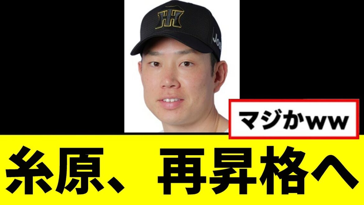 【阪神】糸原健斗が最短昇格へwwwww 【阪神】糸原健斗が最短昇格へwwwww