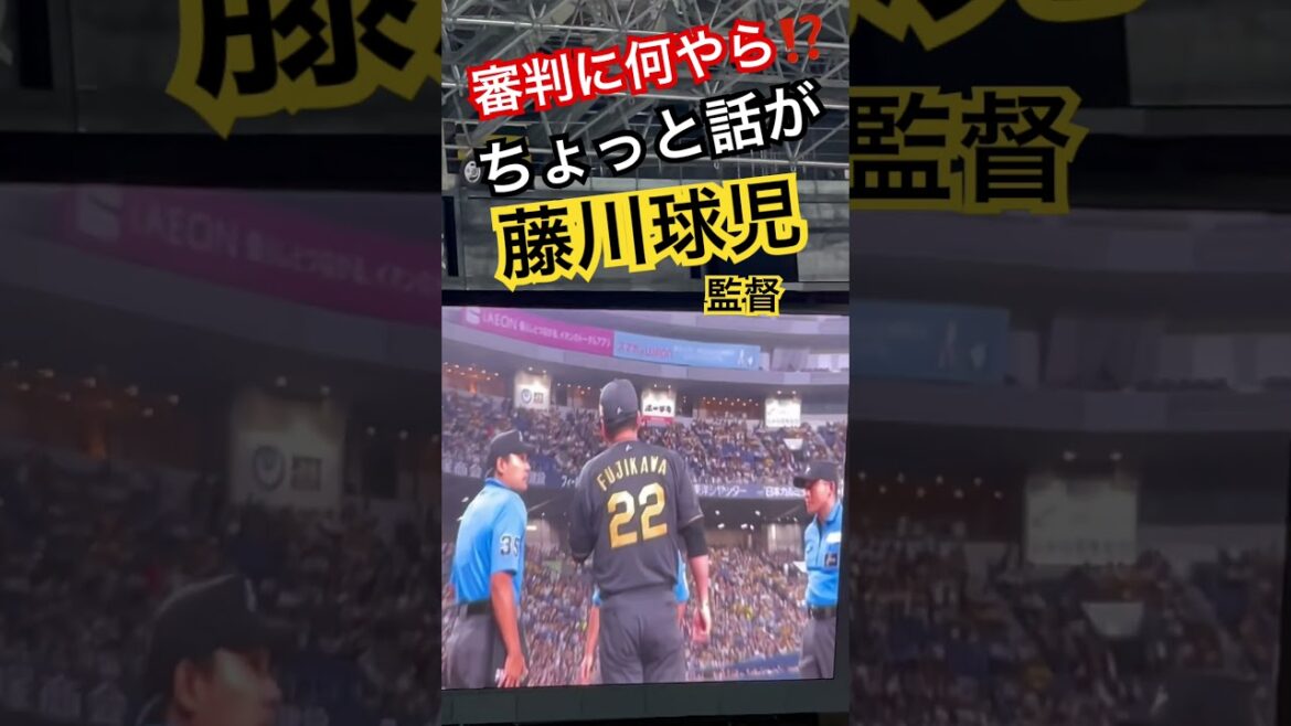 #tigers #t藤川球児 #阪神タイガース #hanshintigers #阪神 #阪神応援 #球場ビジョン #メンバー表 #野球場 #京セラドーム大阪  #猛虎 #試合前 #審判 #話がある