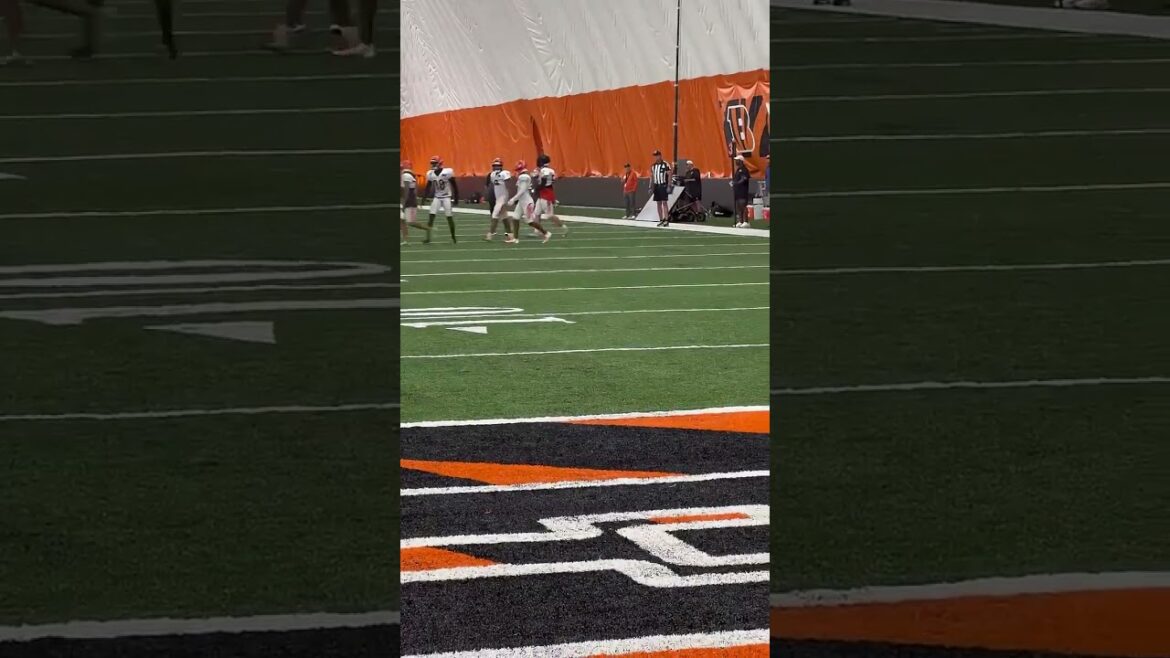 DJ Turner breaks up a Joe Burrow pass for Ja’Marr Chase Thursday