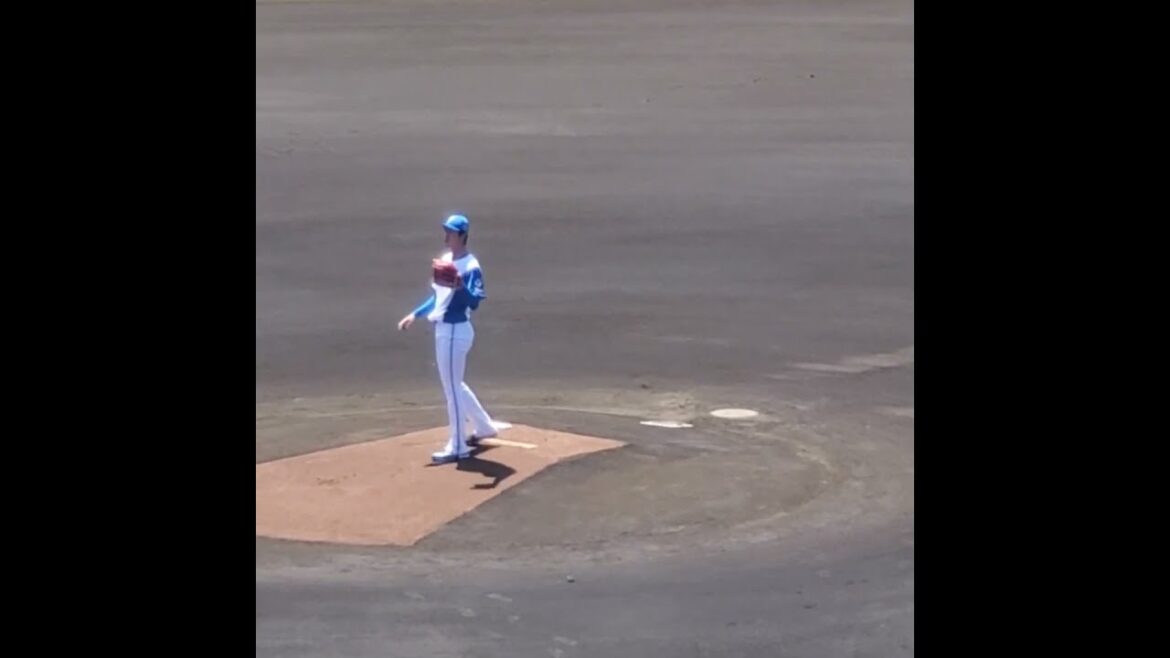 20250628　福島蓮　投球練習　#shorts　北海道日本ﾊﾑﾌｧｲﾀｰｽﾞ@千葉･鎌ヶ谷ｽﾀｼﾞｱﾑ［ｲｰｽﾀﾝ･ﾘｰｸﾞ 2軍戦］鎌ｽﾀ