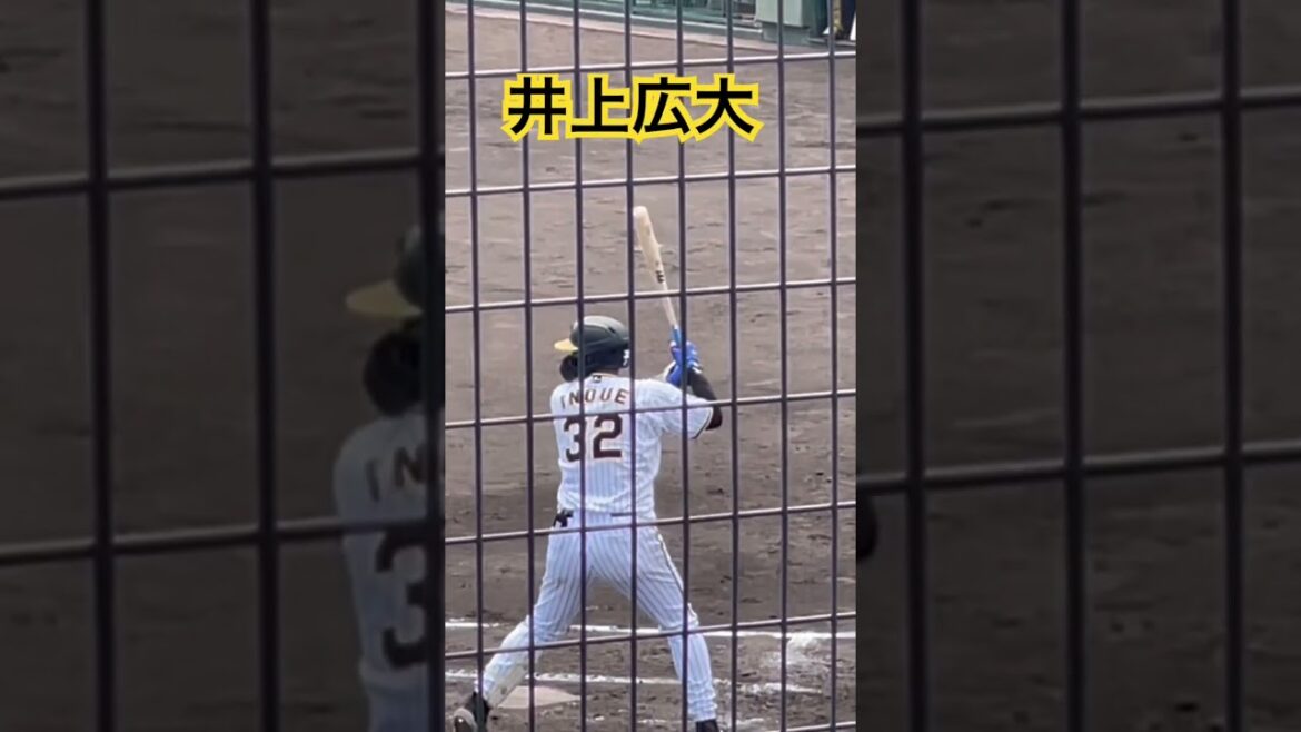 #tigers #井上広大
