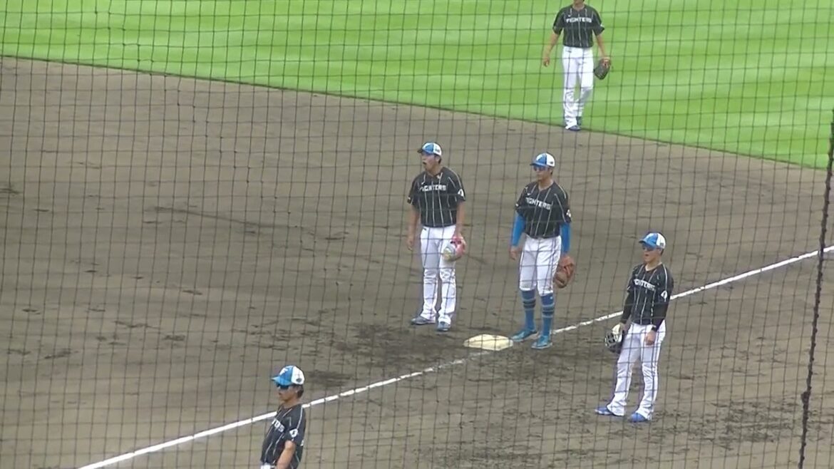シートノック ファースト守る古川裕大 阪口 樂〜2024年9月4日 日本ハムファイターズ対ヤクルトスワローズ シートノック ファースト守る古川裕大 阪口 樂〜2024年9月4日 日本ハムファイターズ対ヤクルトスワローズ