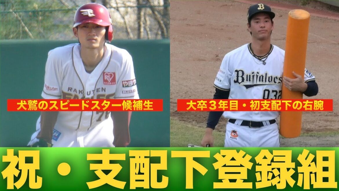 【パ４球団５選手】支配下登録された選手を今日も今日とてまとめていく！　＃吉川悠斗　＃入山海斗　＃辰見鴻之介