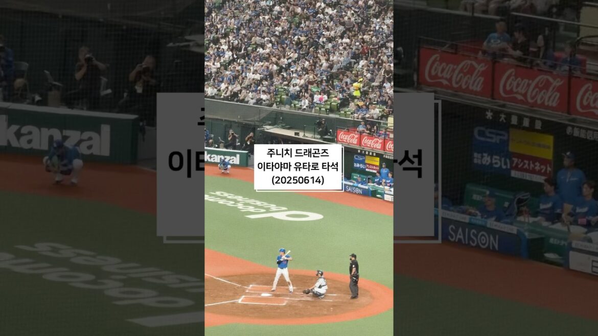 ベルーナドーム　セ・パ交流戦　中日ドラゴンズ　板山祐太郎　打席映像