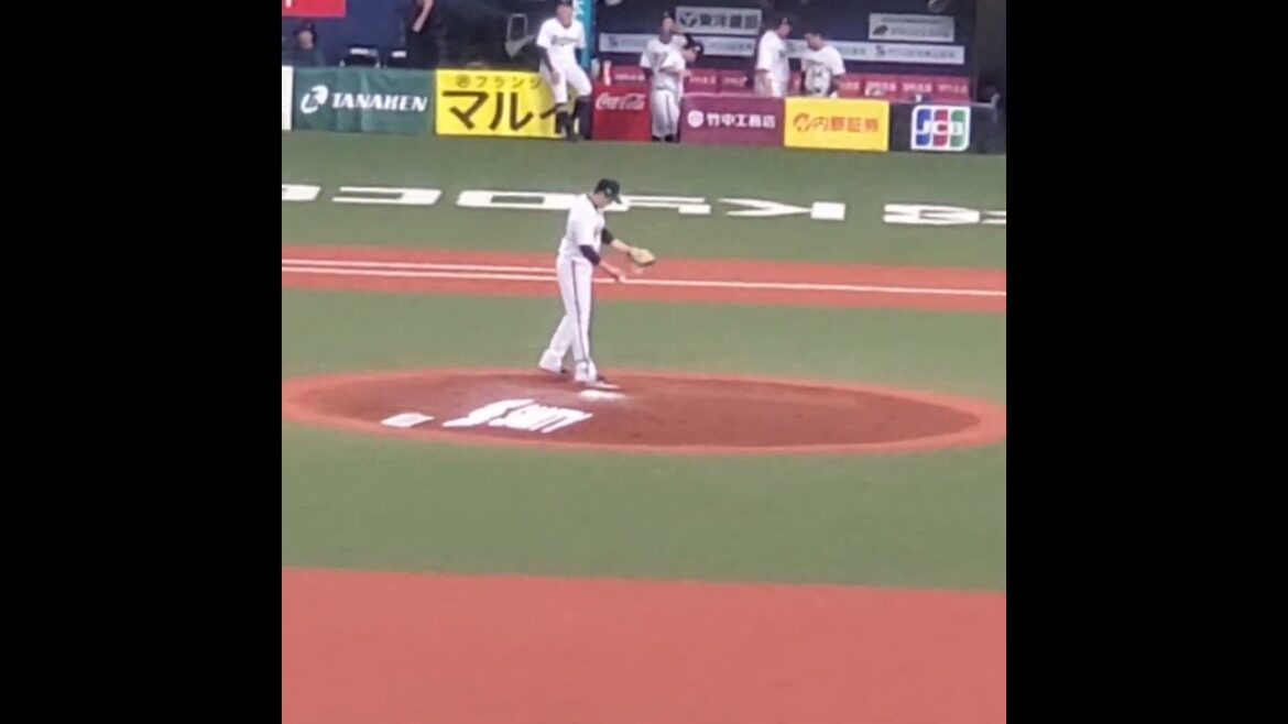 20250418　九里亜蓮　投球練習　#shorts　ｵﾘｯｸｽ･ﾊﾞﾌｧﾛｰｽﾞ@京ｾﾗﾄﾞｰﾑ大阪･ﾚﾌﾄ外野下段