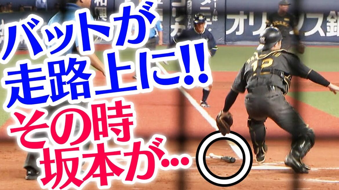 【あぶないっ】バットがランナーの走路上に！その瞬間、坂本誠志郎がとった行動とは！？阪神タイガース密着！応援番組「虎バン」ABCテレビ公式チャンネル