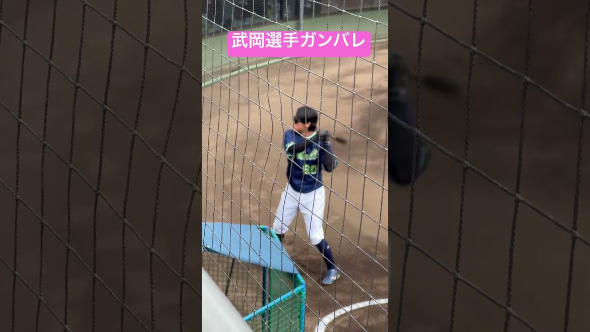 武岡龍世選手ガンバレ！ヤクルトスワローズ二軍