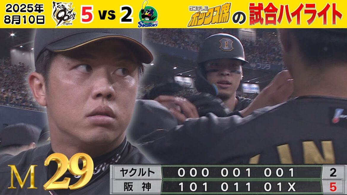 【8/10 阪神－ヤクルト ハイライト】才木10勝目！チーム16安打！サトテル31号！（2025年8月10日 阪神ーヤクルト） #サンテレビボックス席