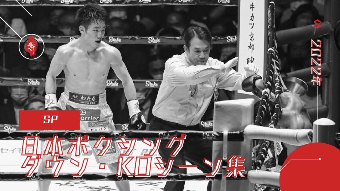日本ボクシング ダウン・KOシーン集|2022年 SP 日本ボクシング ダウン・KOシーン集|2022年 SP