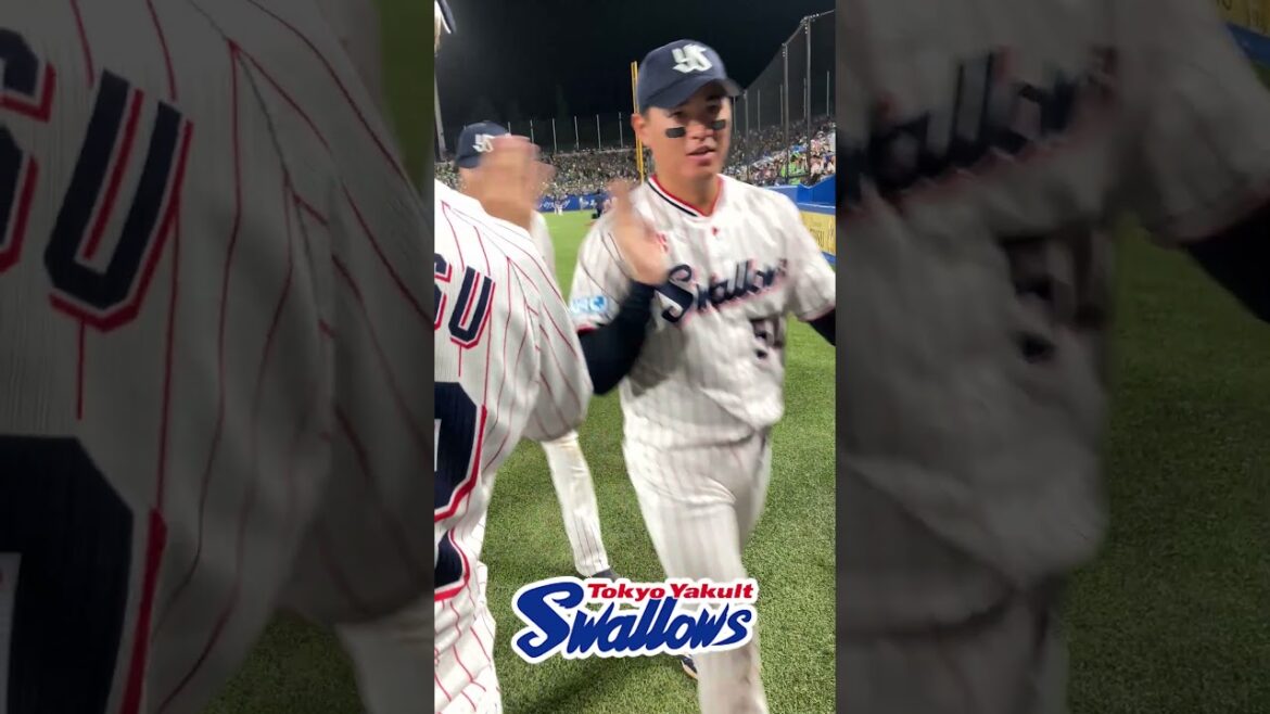 勝利後のハイタッチ #swallows #shorts