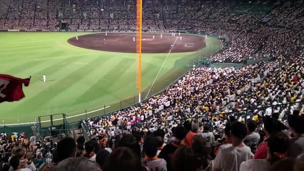 20240801【現地】大城卓三が死球→治療中の中断時間を利用して#サイクロン　7回表　読売ｼﾞｬｲｱﾝﾂ(巨人)@阪神甲子園球場･ﾚﾌﾄ外野［KOSHIEN CLASSIC SERIES］