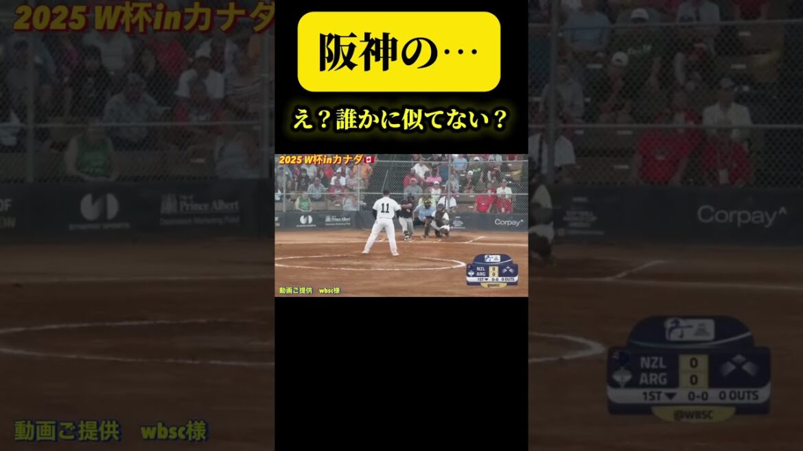 【阪神タイガースのあの人に似てますね】 #ソフトボール #野球 #softball #甲子園 #好プレー集#日本代表 #可愛い #美女 #阪神タイガース
