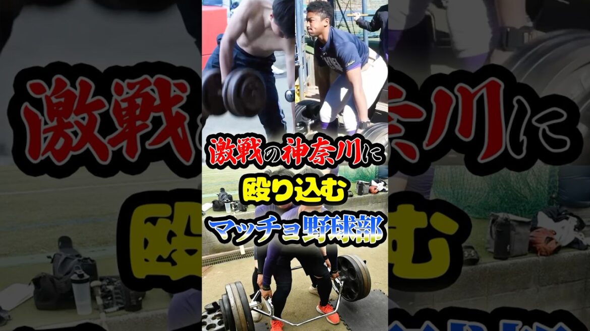 激戦の神奈川に現れた「ゴリマッチョ野球部」に関する雑学　#野球 #高校野球 #甲子園