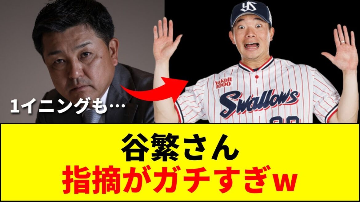 【速報】谷繁さん、指摘がガチすぎたwww【ネットの反応】 【速報】谷繁さん、指摘がガチすぎたwww【ネットの反応】