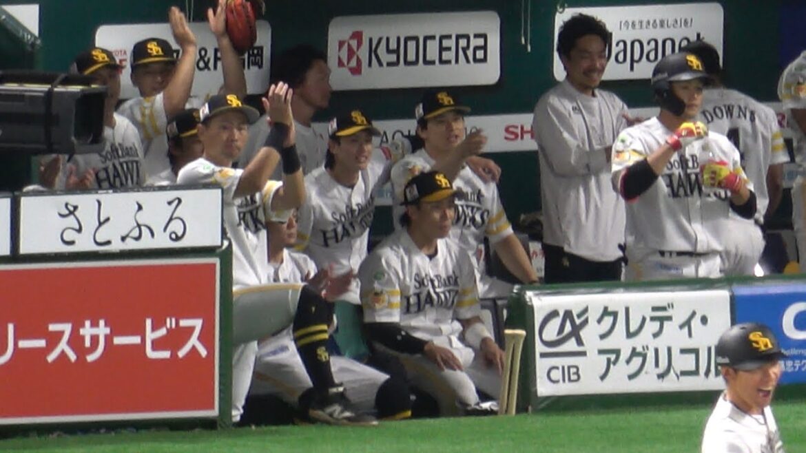 近藤健介のヒットにホークスベンチが大盛況⭐️周東佑京＆谷川原健太がめっちゃ仲良い🤣山本恵大をいじり、ベンチを温める😊2025.8.10⚾️ホークス対日本ハム