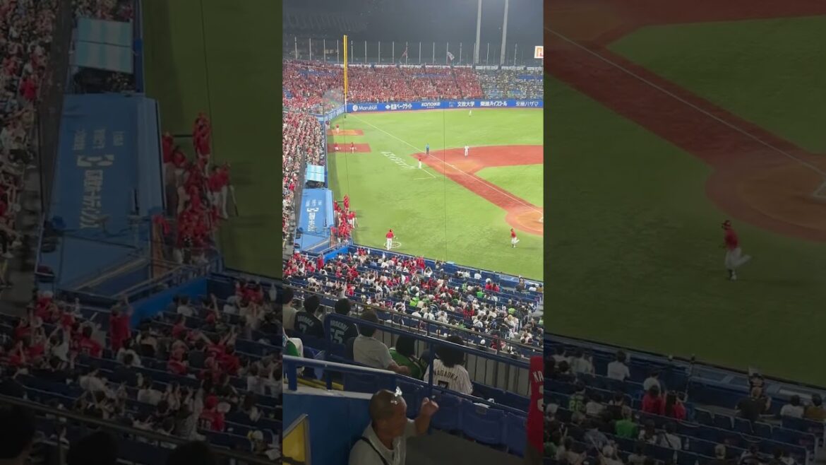 林晃汰選手2年ぶりのホームラン_20250720 #広島東洋カープ  #カープ #carp