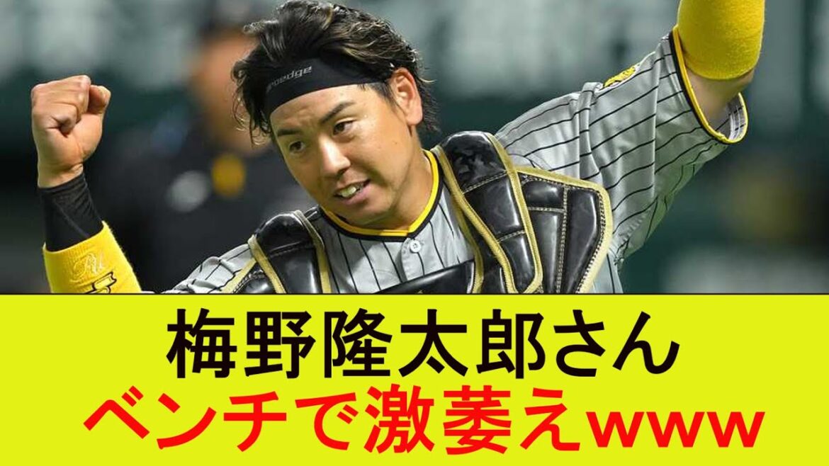 梅野隆太郎さん、ベンチで激萎えｗｗｗ【なんJ/プロ野球/2ｃｈ/5ｃｈ/反応/まとめ】