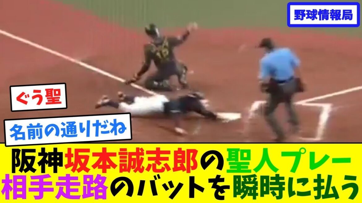 阪神坂本誠志郎の聖人プレー!相手走路のバットを瞬時に払う【ネット情報局】 阪神坂本誠志郎の聖人プレー!相手走路のバットを瞬時に払う【ネット情報局】