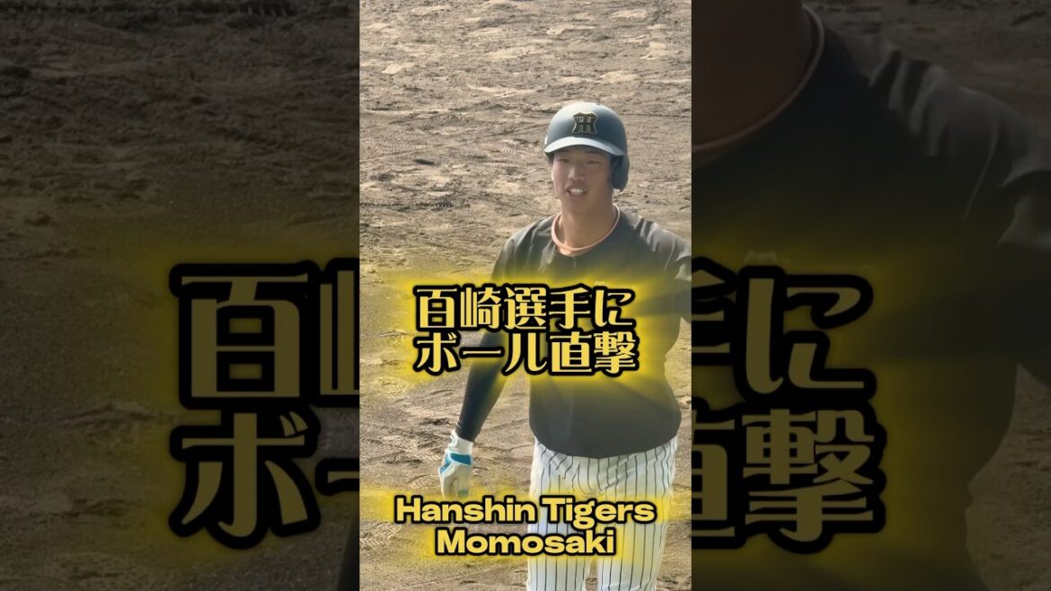 百崎選手に球が直撃 2/27尼崎の新球場 #阪神 #阪神タイガース #野球 #プロ野球 #打撃 #ティーバッティング #百崎蒼生 #北川博敏 #東海大熊本星翔 #熊本 #尼崎