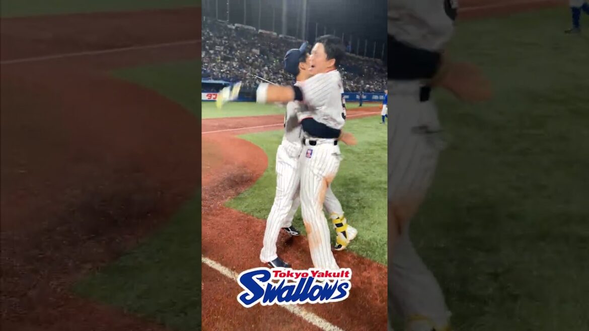 劇的サヨナラ勝ち！ #swallows #shorts