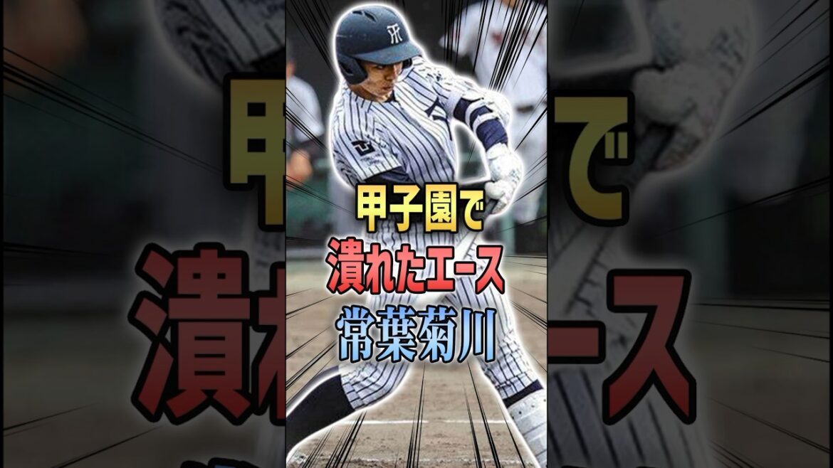 【野球】甲子園で潰れたエース常葉菊川に関する雑学#shorts #甲子園 #常葉菊川