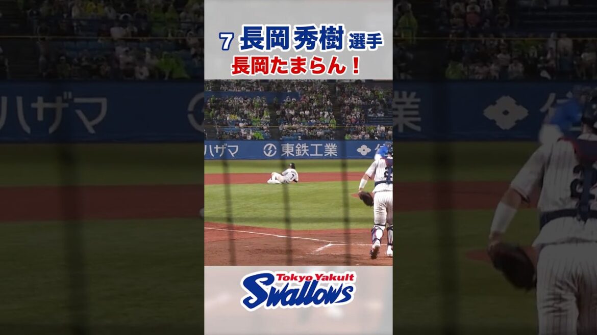 長岡秀樹選手 長岡たまらん！　#swallows #長岡秀樹 #shorts