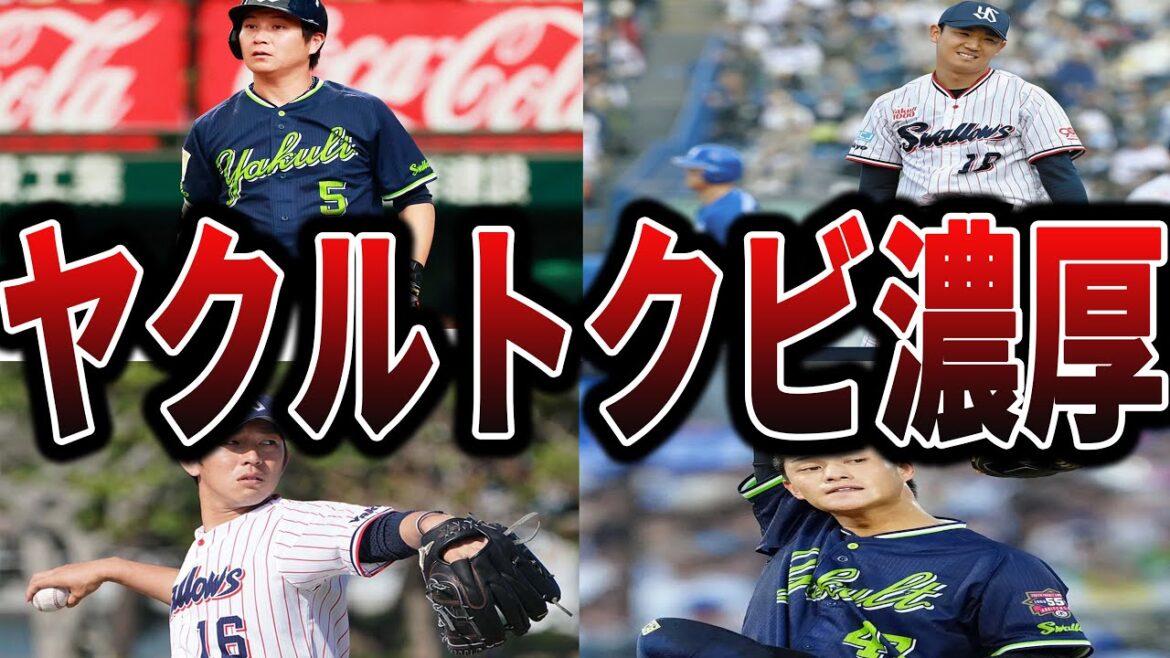 【2025】スワローズの今シーズン、かなり崖っぷちの選手たち