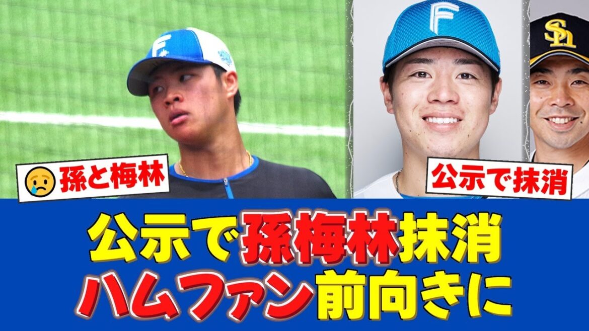 日本ハム、公示で孫易磊と梅林優貴を1軍抹消 前日初先発の内容は?【日ハムファンの反応】【日ハム速報】 日本ハム、公示で孫易磊と梅林優貴を1軍抹消 前日初先発の内容は?【日ハムファンの反応】【日ハム速報】