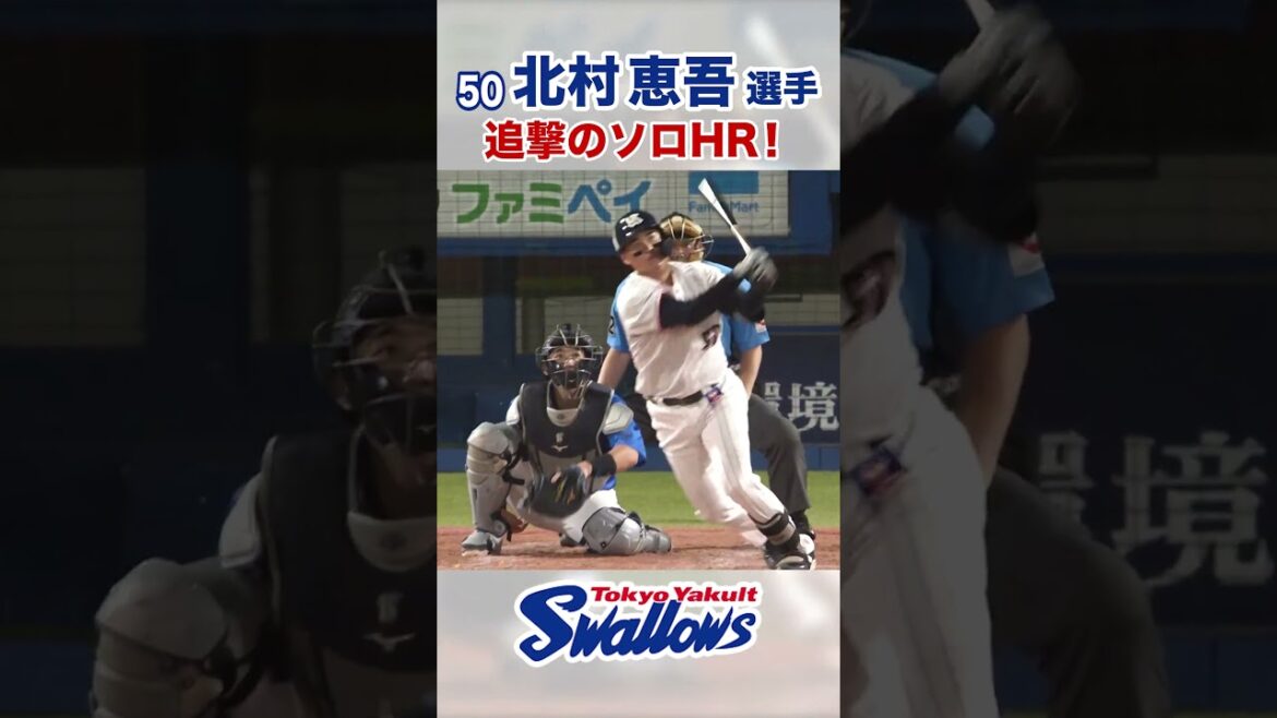 北村恵吾選手 追撃のソロHR！　#swallows #北村恵吾 #shorts