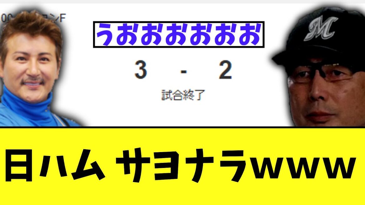 日ハム 千葉ロッテマリーンズからサヨナラ勝ち 日ハム 千葉ロッテマリーンズからサヨナラ勝ち
