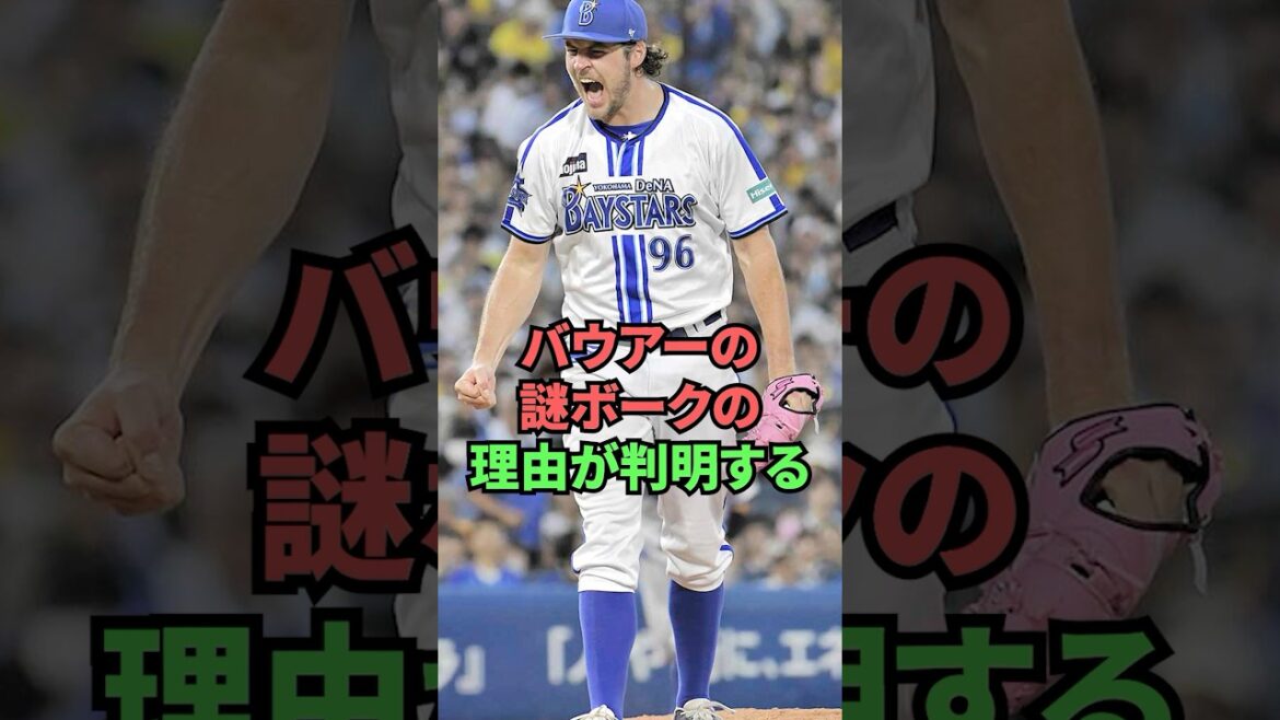 バウアーの謎ボークの理由が判明する