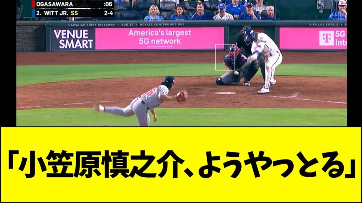 小笠原慎之介、ようやっとる