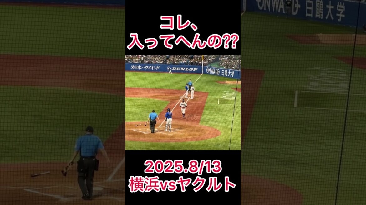 ファールなんコレ？？？ #shorts #東京ヤクルトスワローズ#プロ野球