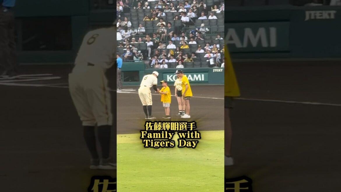 佐藤輝明選手25/7/31 Family with Tigers Day #プロ野球 #阪神 #阪神タイガース #阪神ファン #佐藤輝明 #阪神甲子園球場 #野球 #野球少年 #プロ野球選手
