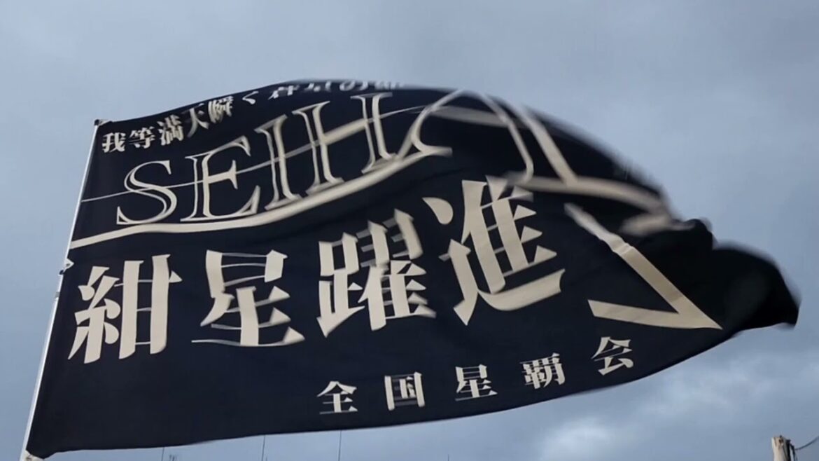 2025.8.11 ベイスターズ 個人応援歌メドレー@神宮球場