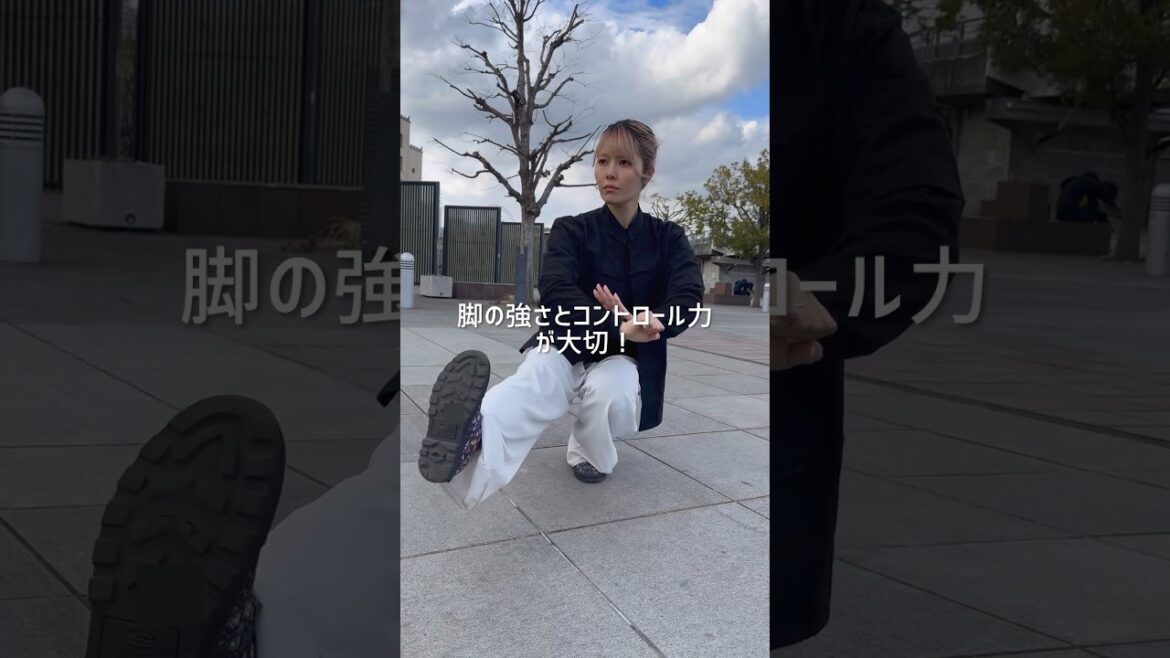 武術の全ては足腰から #武術 #太極拳 #カンフー #トレーニング 武術の全ては足腰から #武術 #太極拳 #カンフー #トレーニング