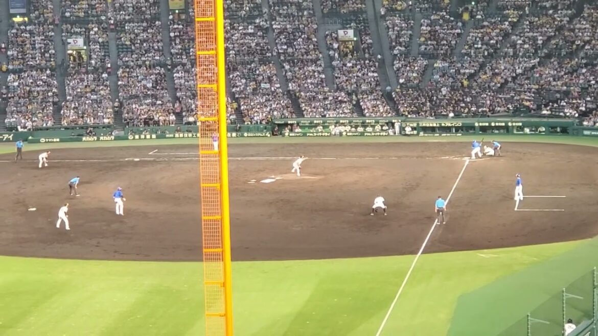 20240706　ﾌｧｲﾃｨﾝｸﾞﾃｰﾏ♪ﾊﾞｯﾀｰ森唯斗で【右投手の汎用テーマ】5回表　横浜DeNAﾍﾞｲｽﾀｰｽﾞ　投手汎用応援歌@阪神甲子園球場･ﾚﾌﾄ外野