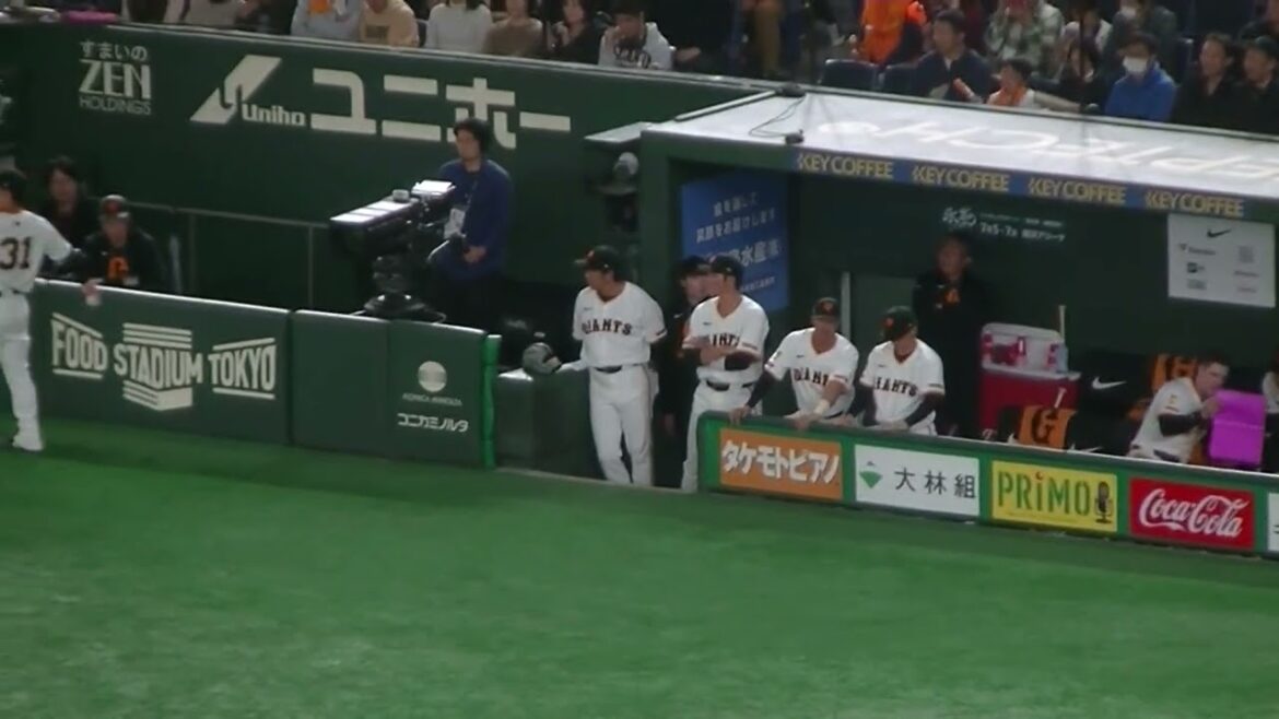 中山礼都の打席を見守る長野久義や坂本勇人【読売ジャイアンツ対 ヤクルトスワローズ 2025年3月29日】