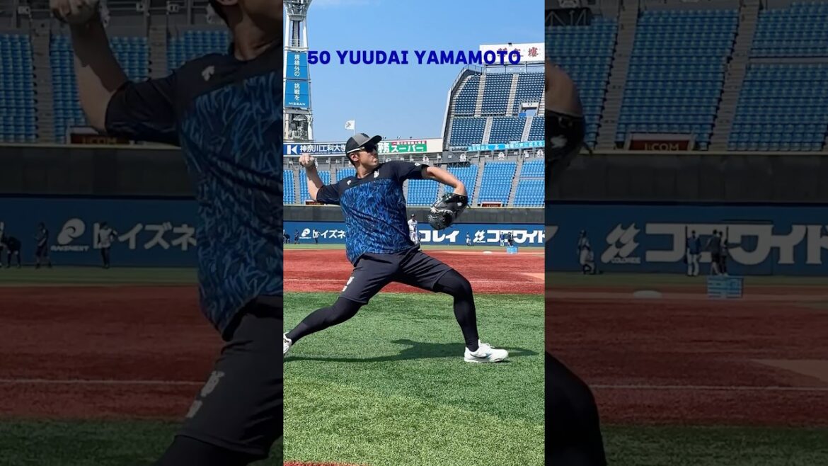 野手のキャッチボールを間近で⚾️！
