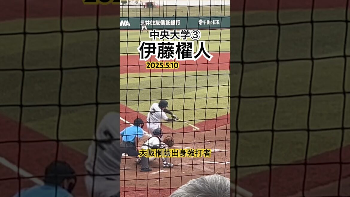 #伊藤櫂人 #中央大学 #大学野球 #大阪桐蔭