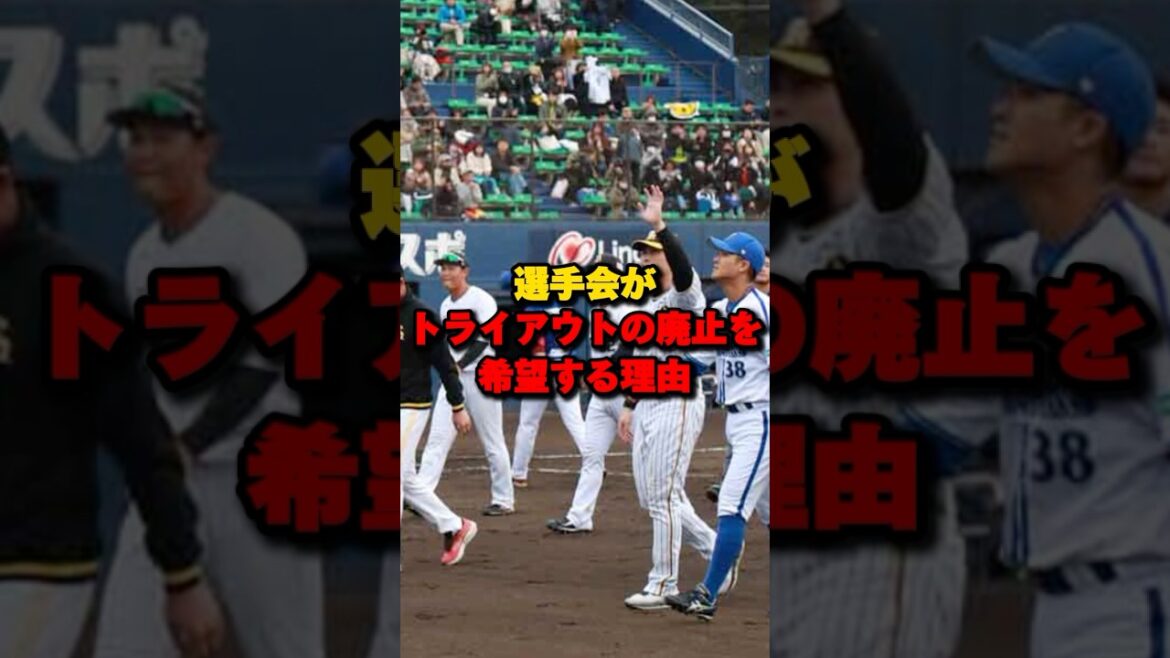 選手会がトライアウトの廃止を希望する理由#プロ野球