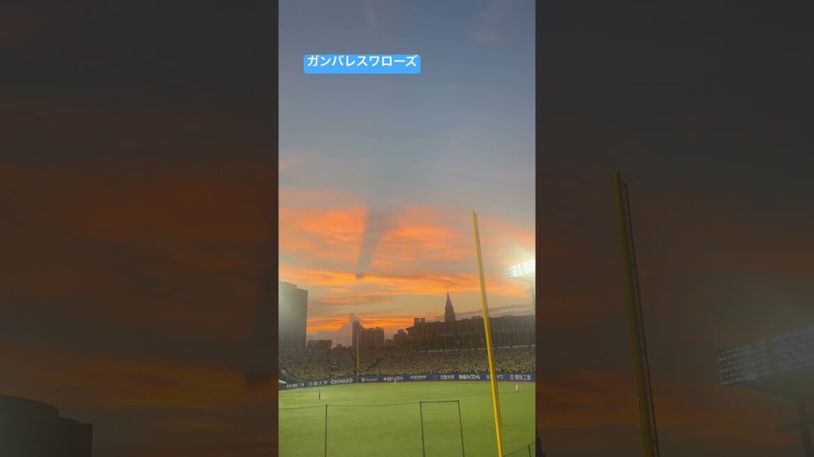 ヤクルトスワローズホームラン、、打たれる。空が綺麗