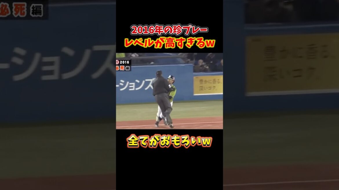 【全てが面白いwww】プロ野球珍プレー集 #プロ野球 #野球 【全てが面白いwww】プロ野球珍プレー集 #プロ野球 #野球