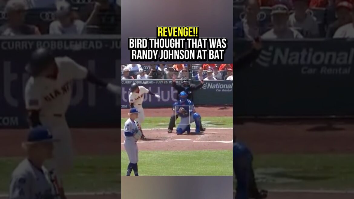 Bird tries to get REVENGE!!   Reverse Big Unit. 🤣 #baseball #mlb #sports