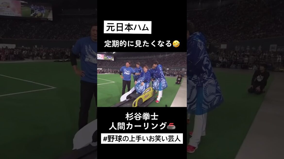【㊗️200万再生突破✨】定期的に見たくなる、お笑い芸人（日本ハム）杉谷拳士 #プロ野球 #杉谷拳士